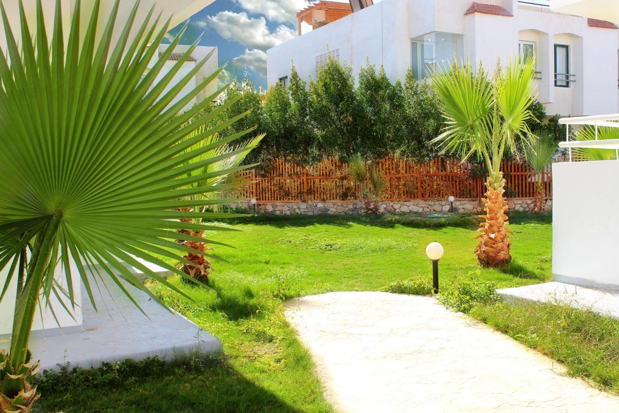 Viking Club Hotel Sharm El Sheikh 外观 照片